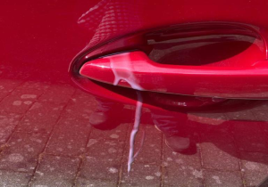 PHOTO-2023-04-26-18-19-40